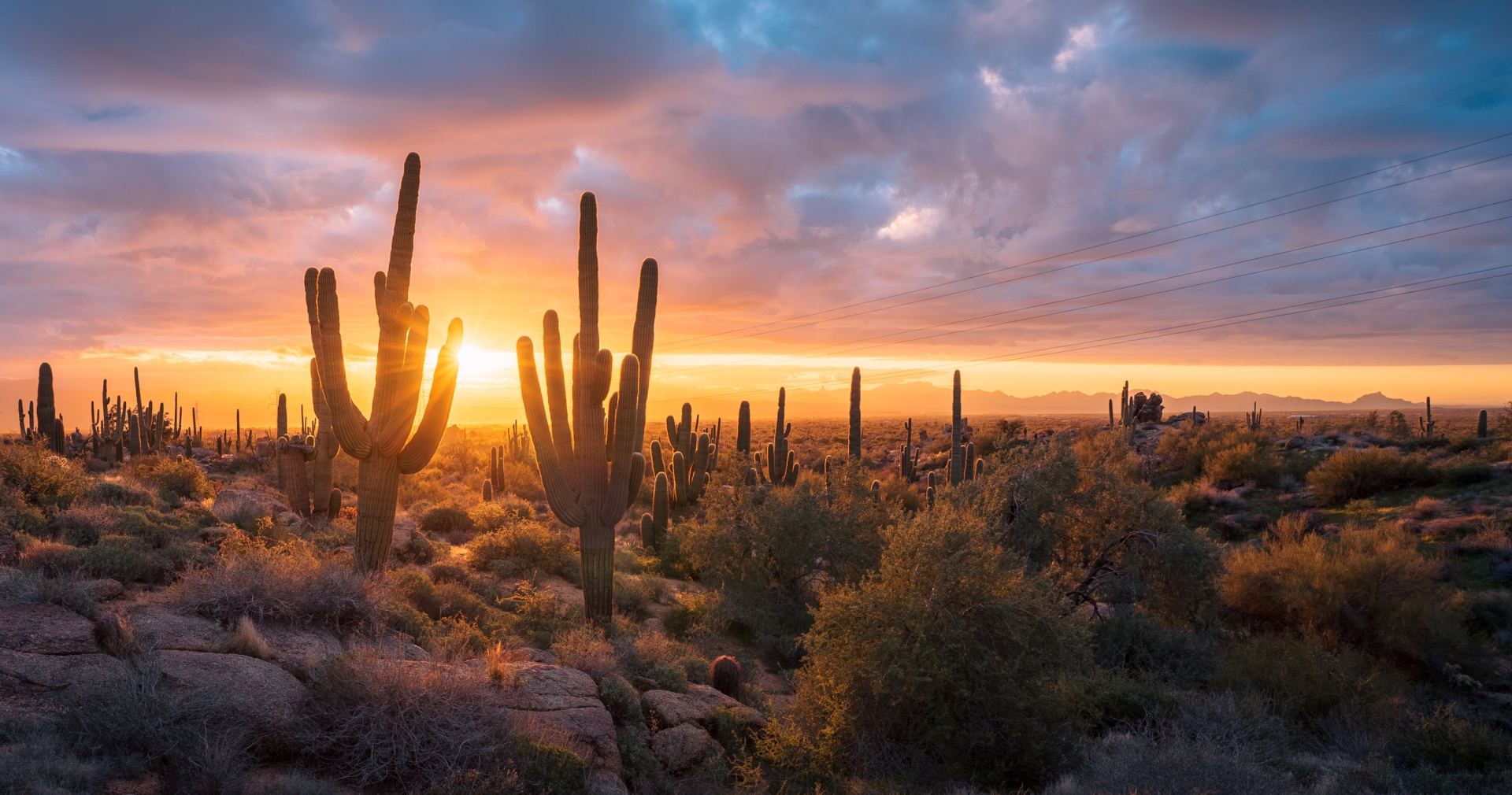 Two saguaro cacti lean in toward a fantastic sunrise from Granite Mountain in The McDowell Sonoran Preserve